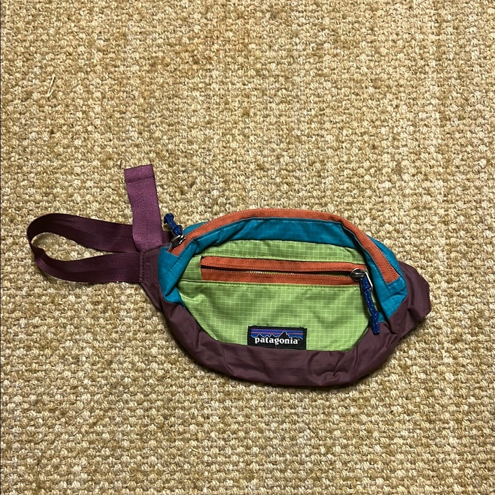 Patagonia Colorful Hip Pack with Purple and Green